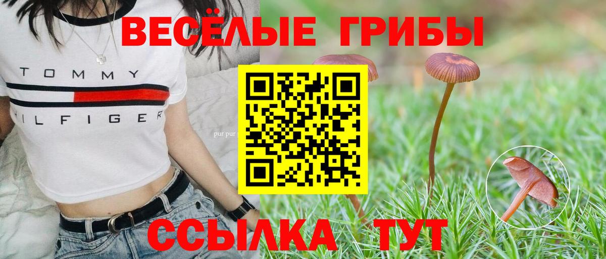 Галлюциногенные грибы GOLDEN TEACHER  Вход с VPN  Псилоцибиновые грибы Cubensis  Кингисепп 