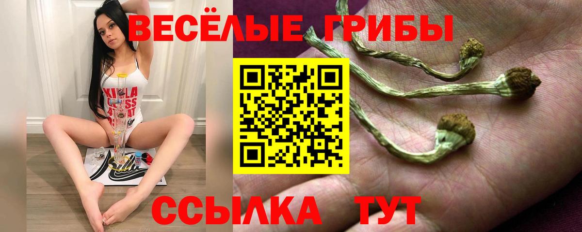 Псилоцибиновые грибы GOLDEN TEACHER Кингисепп