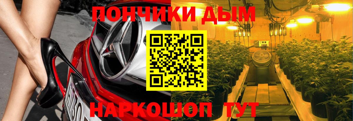 Шишки марихуана план  Вход с VPN  Канабис сатива  Каннабис марихуана  Кингисепп  Бошки марихуана OG Kush 